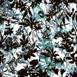 Colour:C