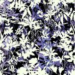 Colour:F