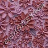 Colour:B