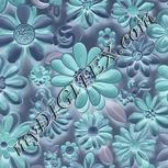 Colour:F