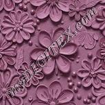 Colour:B