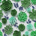 Colour:C