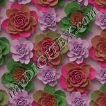 Colour:B