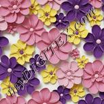 Colour:A