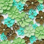 Colour:C
