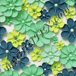 Colour:D