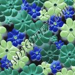 Colour:F
