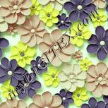 Colour:K
