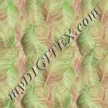 Colour:F