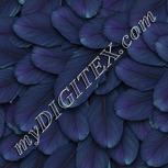 Colour:A