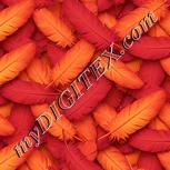 Colour:J