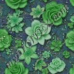 Colour:C