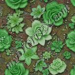 Colour:D