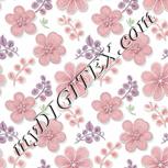 Colour:A