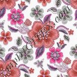 Colour:B