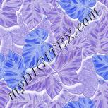 Colour:F