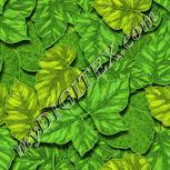 Colour:K