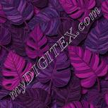 Colour:B