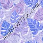 Colour:F