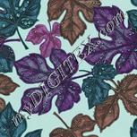 Colour:C