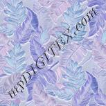 Colour:F