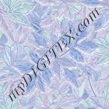 Colour:F