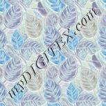 Colour:F