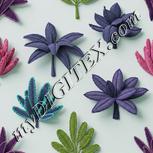 Colour:C