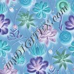 Colour:F