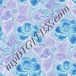 Colour:F