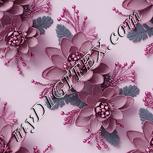 Colour:B