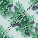 Colour:C
