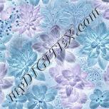 Colour:F
