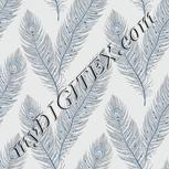 Colour:F