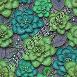 Colour:B