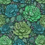 Colour:B