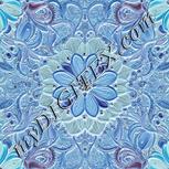 Colour:F