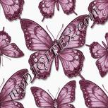 Colour:B