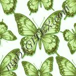 Colour:K