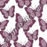 Colour:B