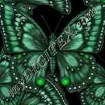 Colour:C