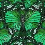 Colour:C