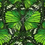 Colour:D