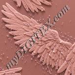 Colour:J