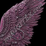 Colour:B