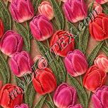 Colour:J