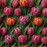 Colour:A
