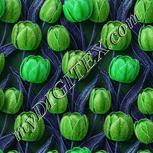 Colour:C