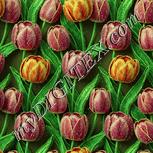 Colour:K