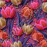 Colour:B